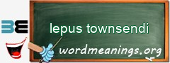 WordMeaning blackboard for lepus townsendi